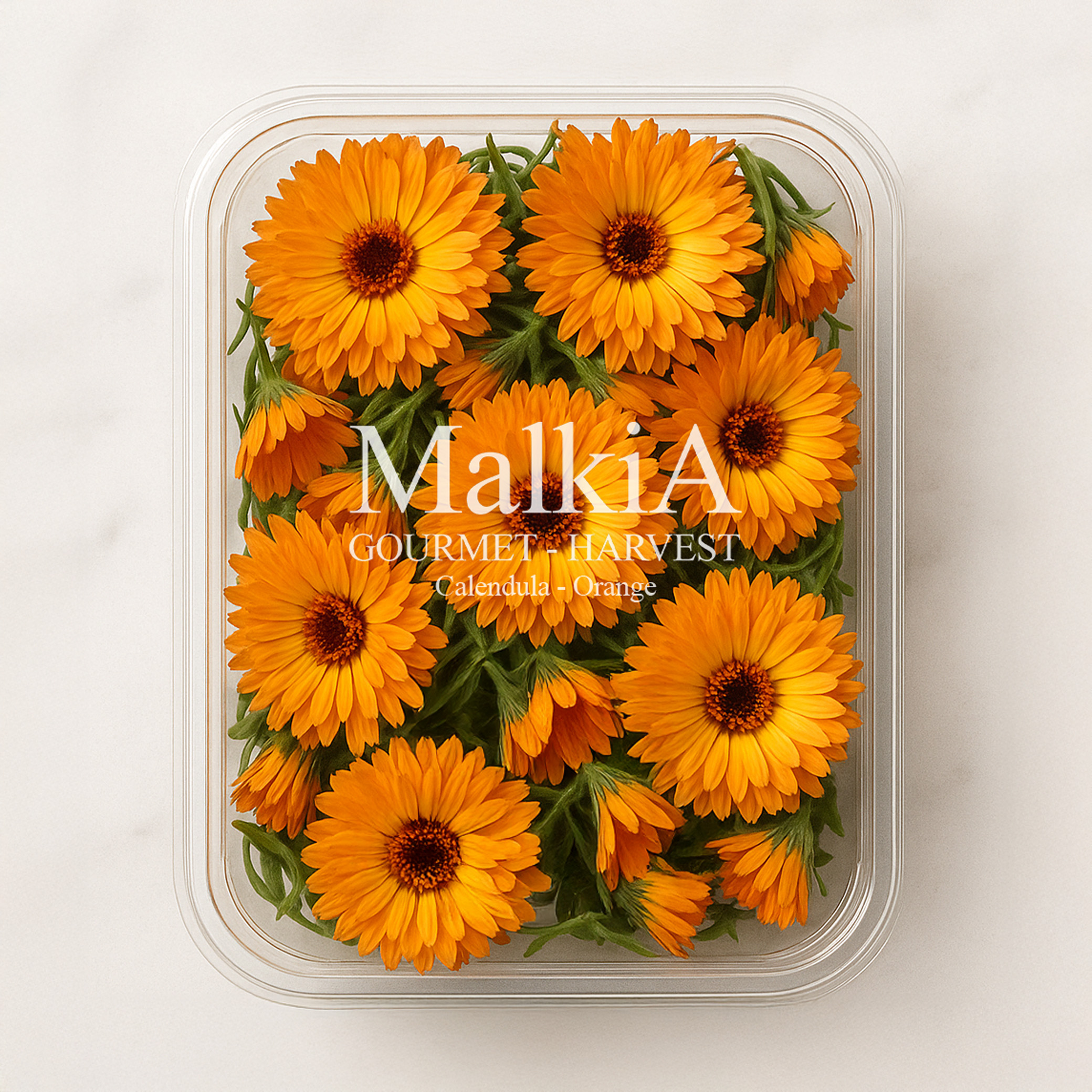 Calendula - Orange