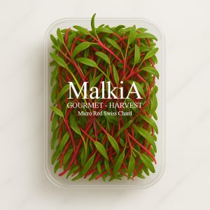 Micro Red Swiss Chard