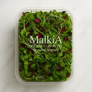 Microgreen Salad Mix