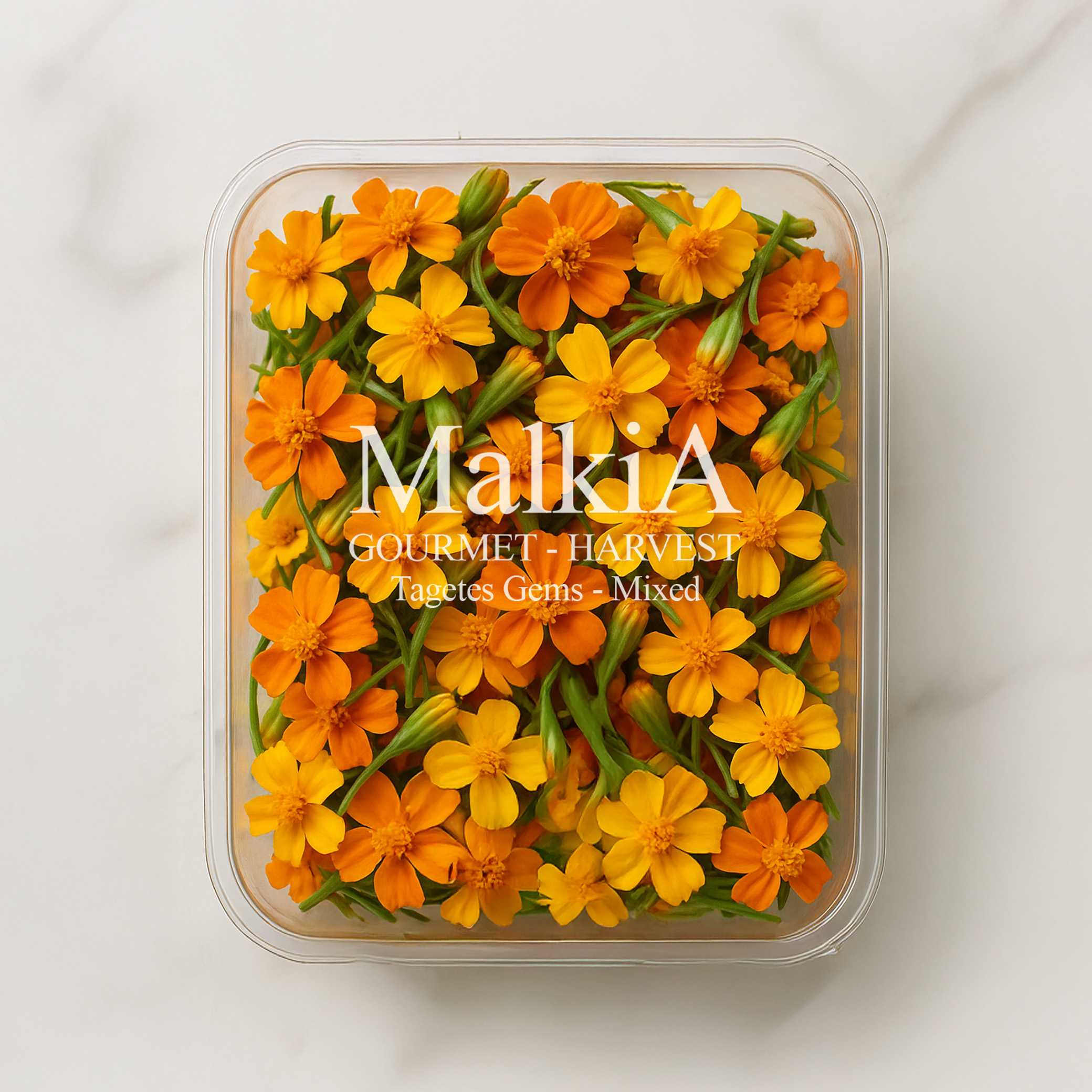 Tagetes Gems - Mixed